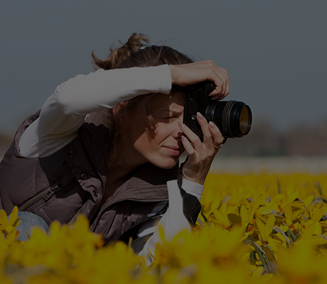 Photographer in yellow flower field