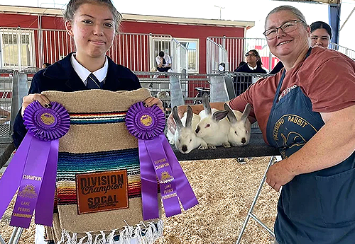 Rabbit show winning participants smiling